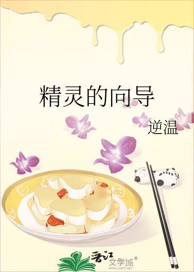精灵的向导同人文