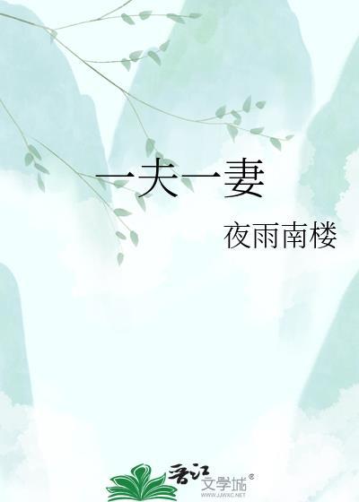 一夫一妻制的国家