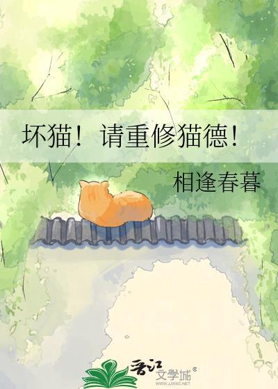 坏猫猫搜索最新版1.4.0