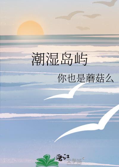 潮湿岛屿你也是