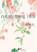 白月光只想离婚