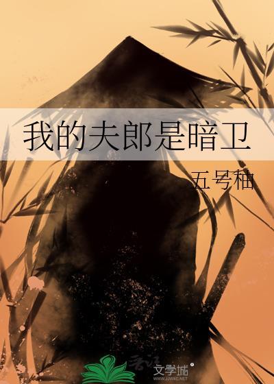 我的夫郎是暗卫TXT