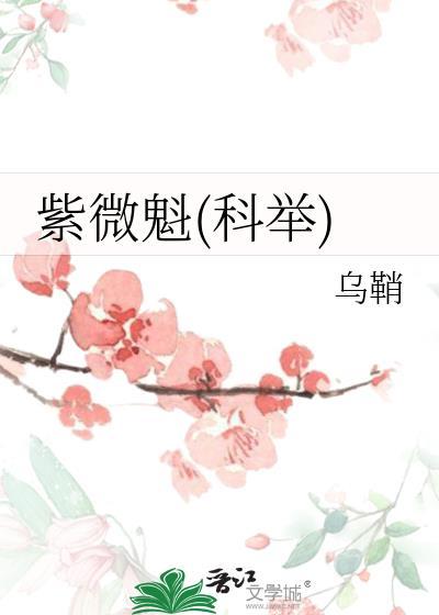 紫微基础