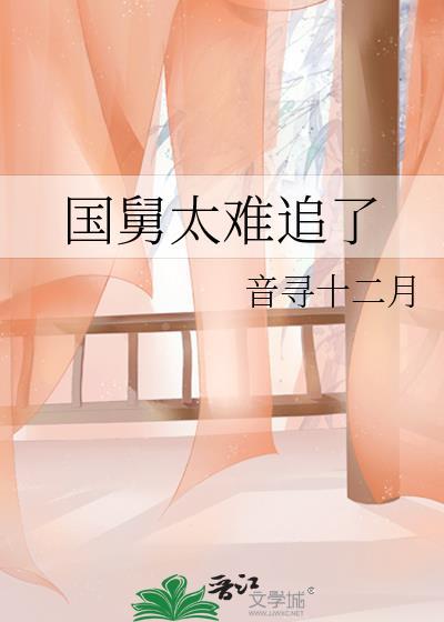 国舅太难追了音寻十二月免费阅读