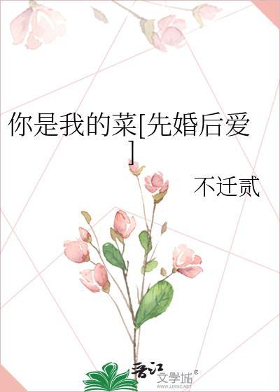 你是我的菜先婚后爱