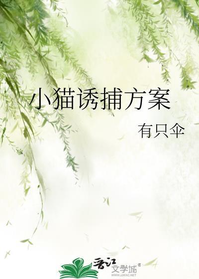 抓猫诱饵