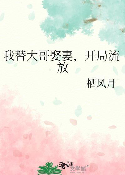 我替我哥娶了那个omeag