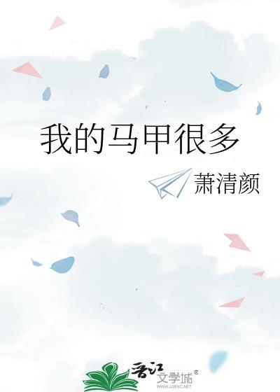我的马甲很多txt
