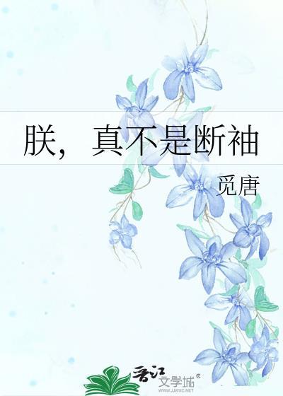 朕不是宋太宗