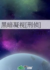 凝视黑夜豆瓣评分