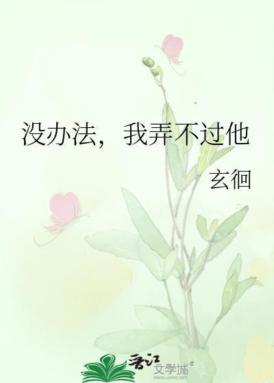 没办法没办法
