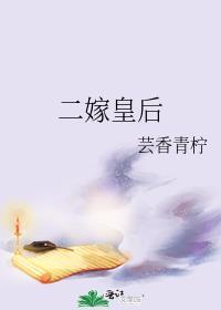 二嫁王妃人物结局