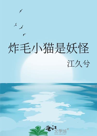 炸毛的小猫图片