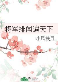 将军绯闻遍天下by小风扶月笔趣阁