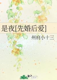 是夜先婚后爱州府十三免费阅读