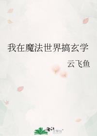 我在魔法世界开创互联网