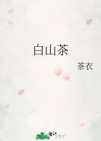 白山茶花花语