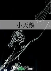 小天鹅洗衣机24小时受理专线启用
