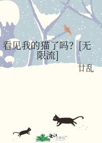 看见我的猫了吗？[无限流]