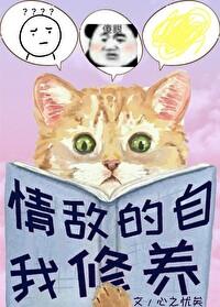 情敌的自我修养gl