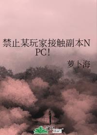 禁止某玩家接触副本NPC!
